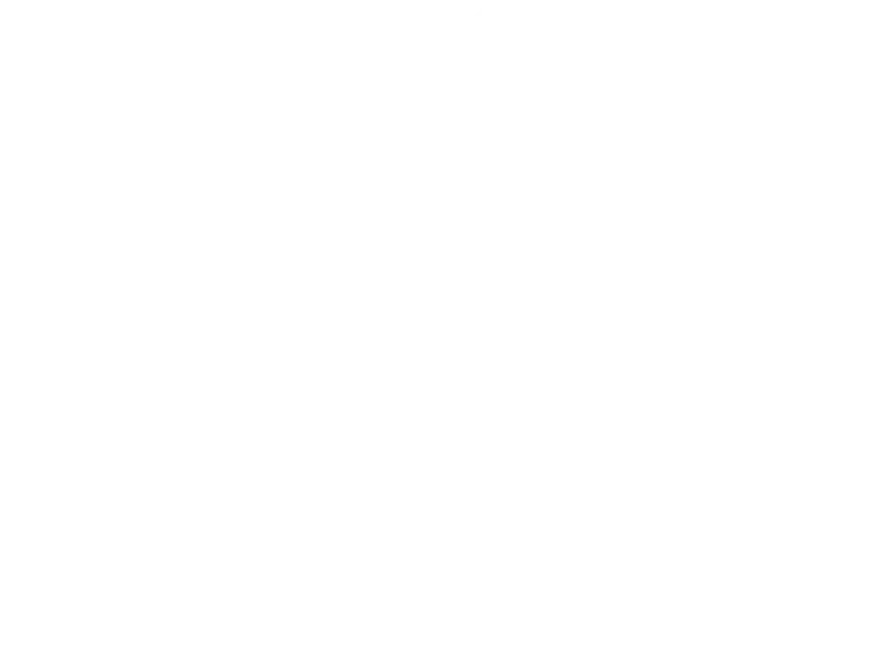 Naturaleza de la Fuerza en el Cuerpo y la Danza